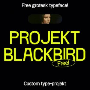 Projekt-Blackbird
