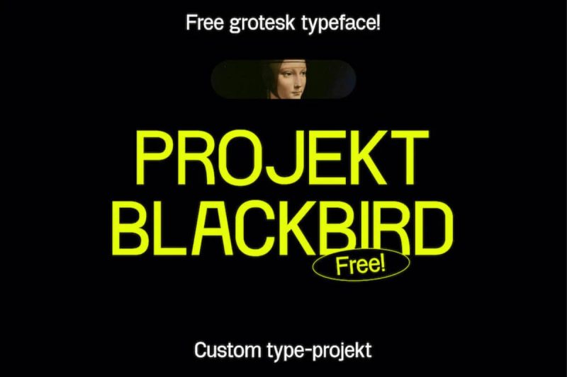 Projekt-Blackbird