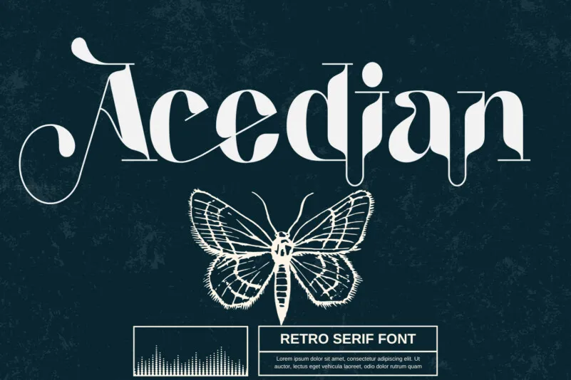Acedian-Font-1-BF64143a0bbb4fb