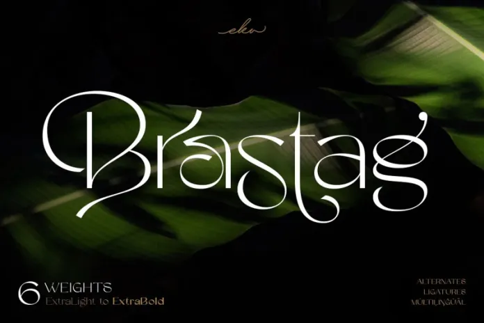 brastag-4