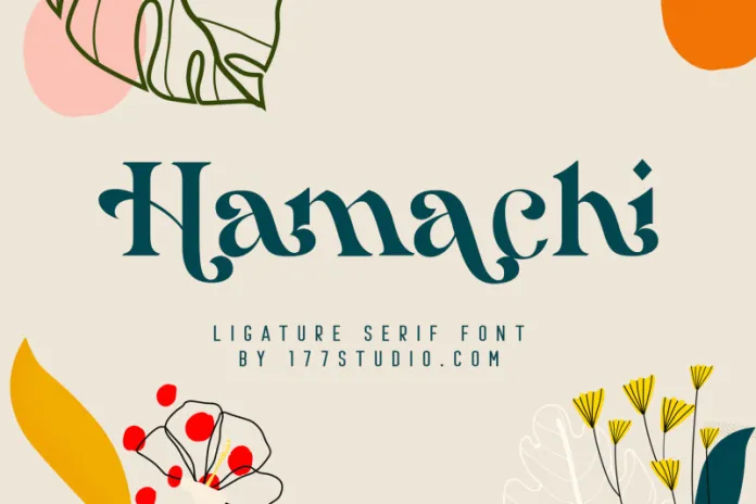 hamachi-serif-font