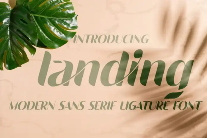 landing-font-0