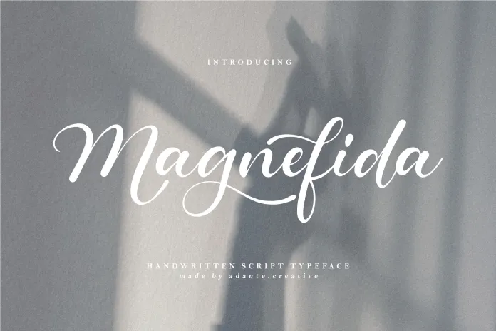 magnefida-4