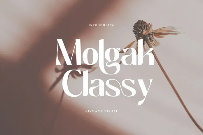 molgak-classy-font-4