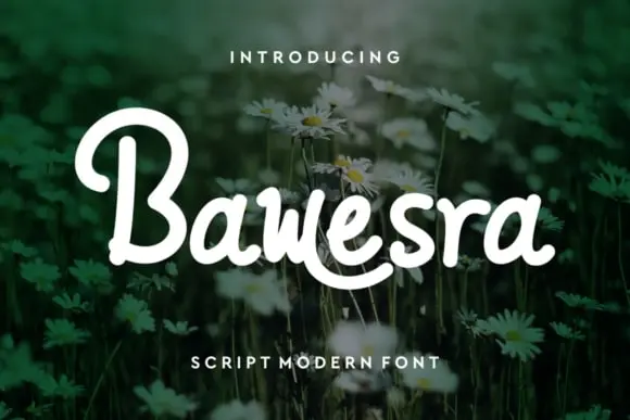 Bawesra-Fonts-1-BF644a87f942587
