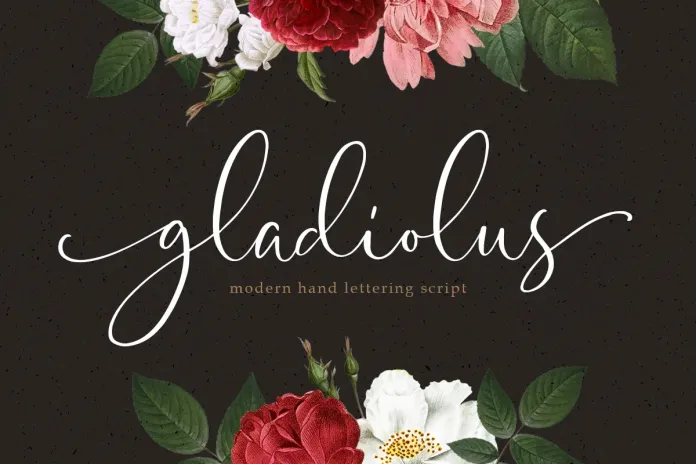 gladiolus-4